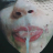 vivivi